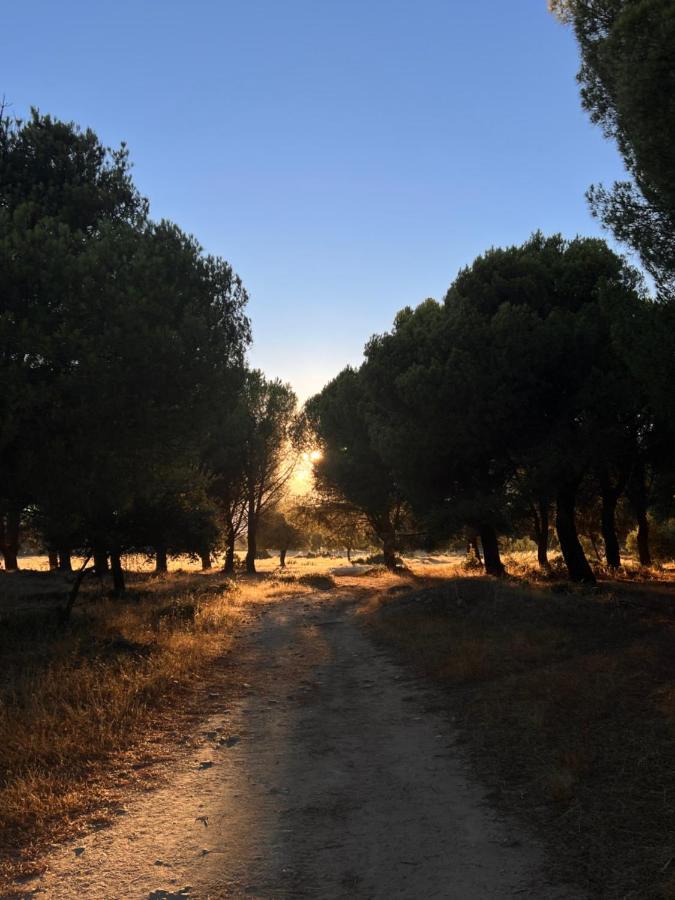 Posada Rural La Resinera ラ・アドラダ エクステリア 写真