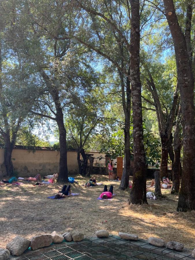 Posada Rural La Resinera ラ・アドラダ エクステリア 写真