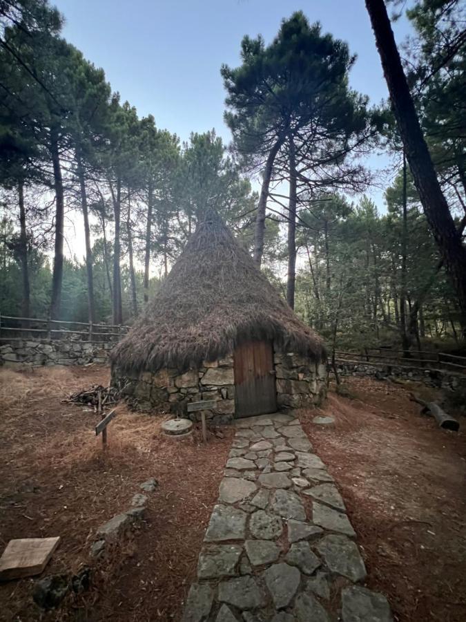Posada Rural La Resinera ラ・アドラダ エクステリア 写真