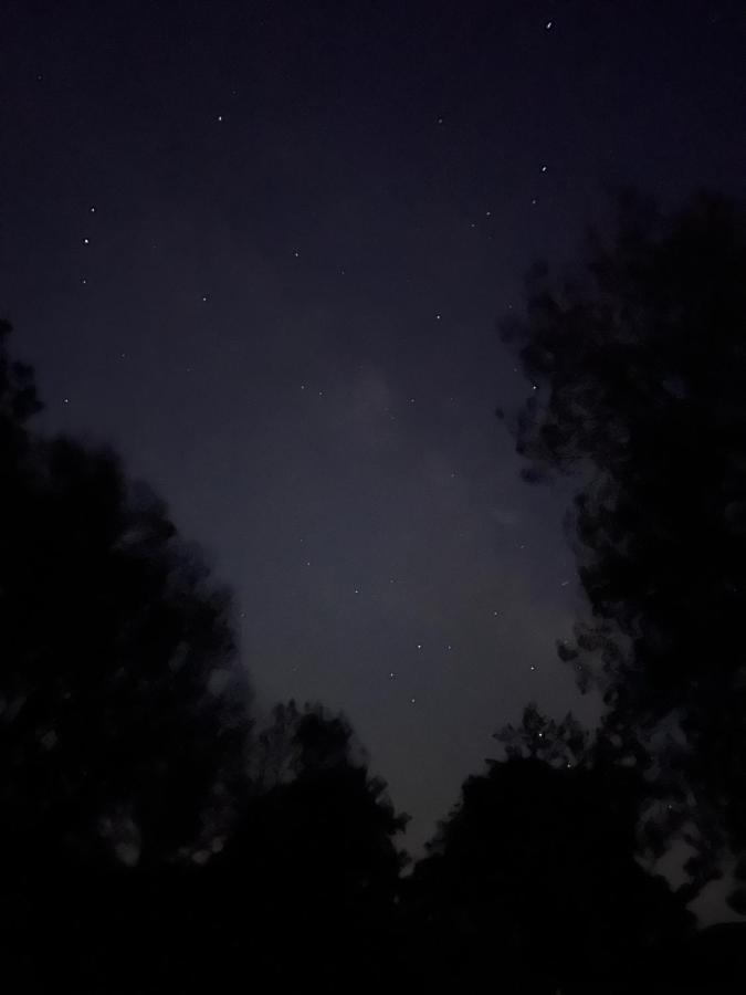 Posada Rural La Resinera ラ・アドラダ エクステリア 写真