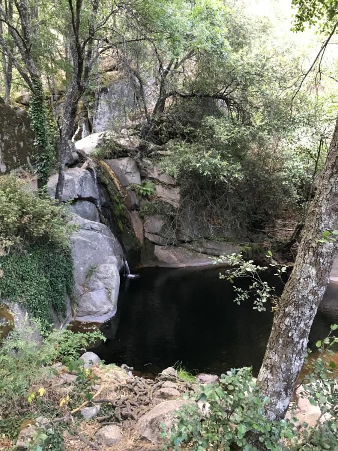 Posada Rural La Resinera ラ・アドラダ エクステリア 写真
