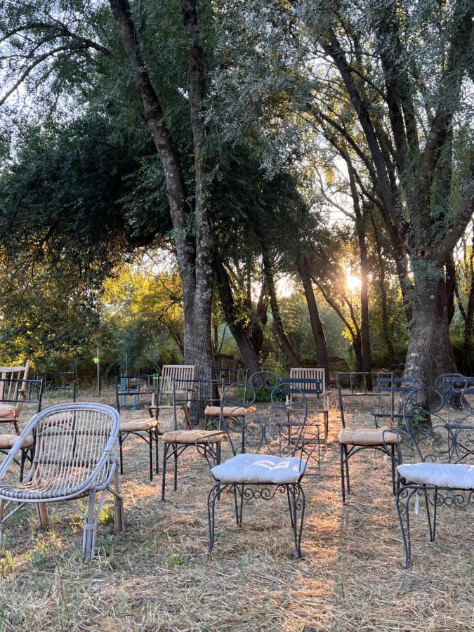 Posada Rural La Resinera ラ・アドラダ エクステリア 写真