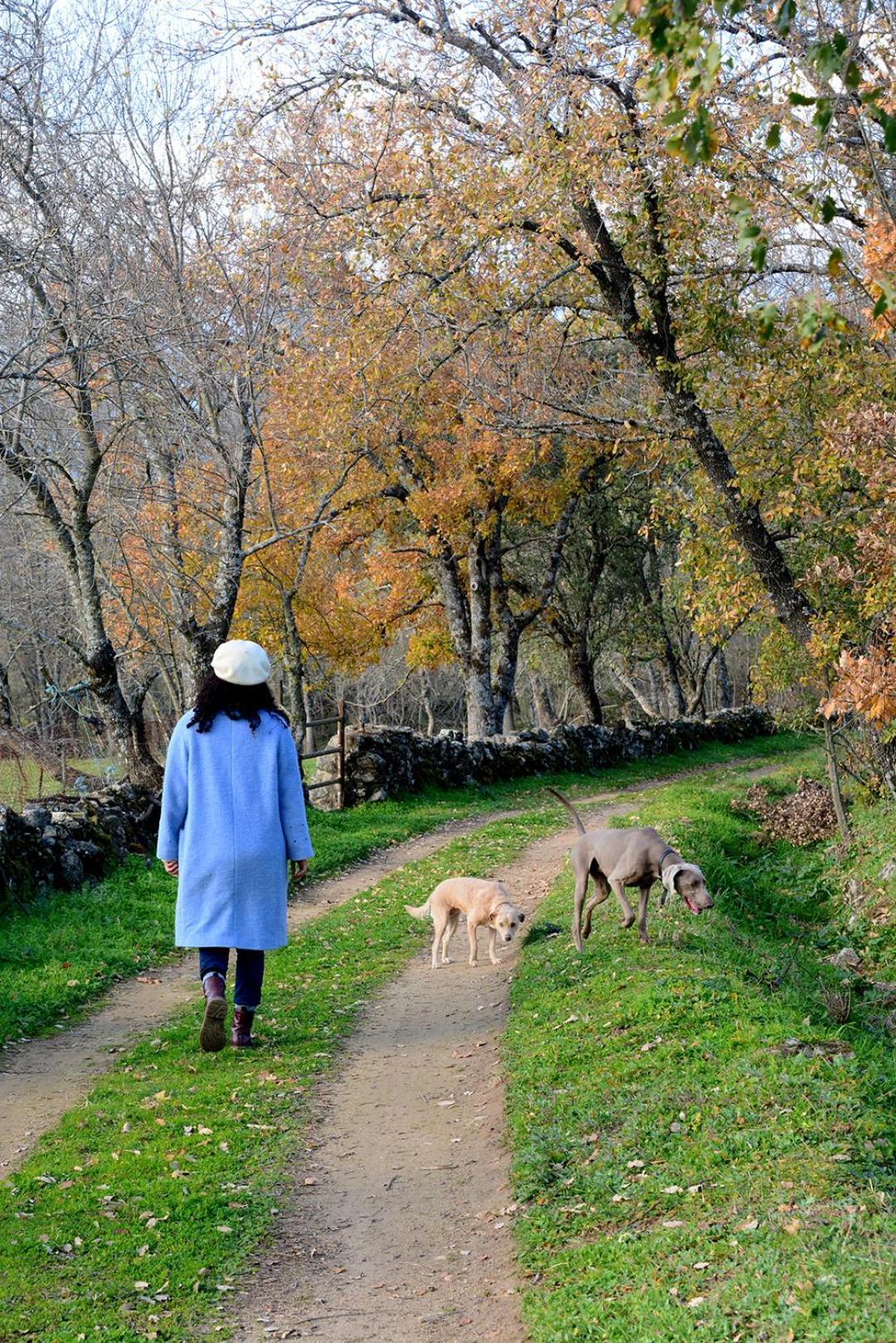 Posada Rural La Resinera ラ・アドラダ エクステリア 写真
