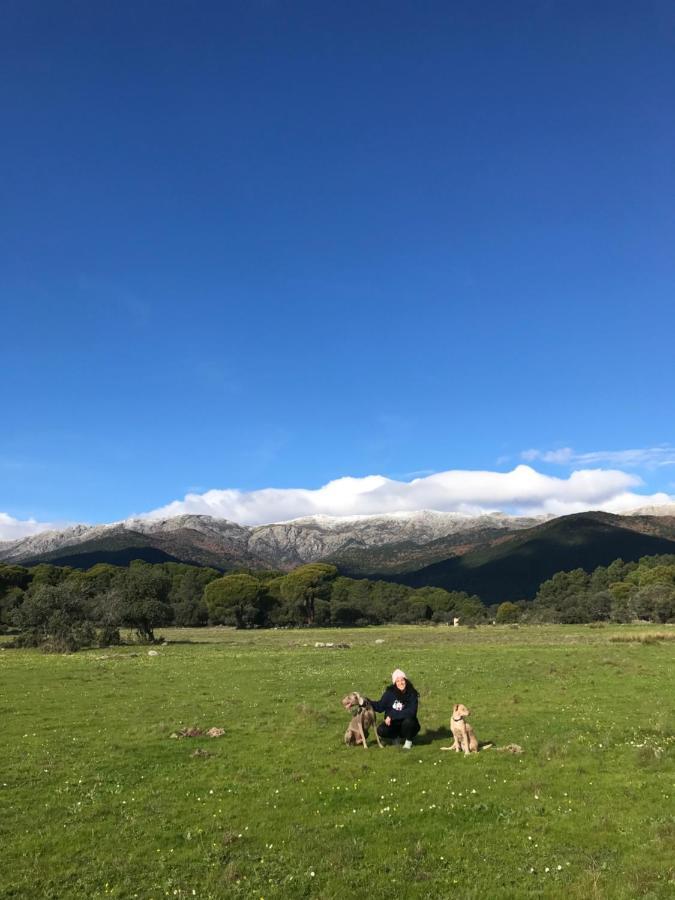 Posada Rural La Resinera ラ・アドラダ エクステリア 写真