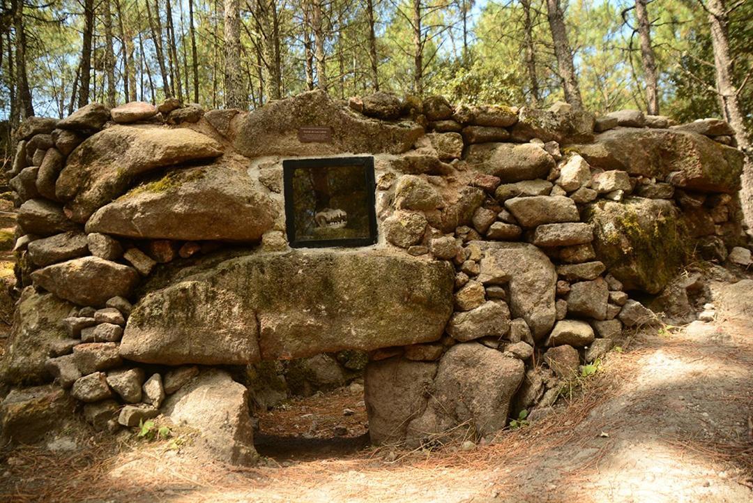 Posada Rural La Resinera ラ・アドラダ エクステリア 写真